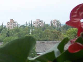 stiftung-buergerhospital-bitburg.jpg